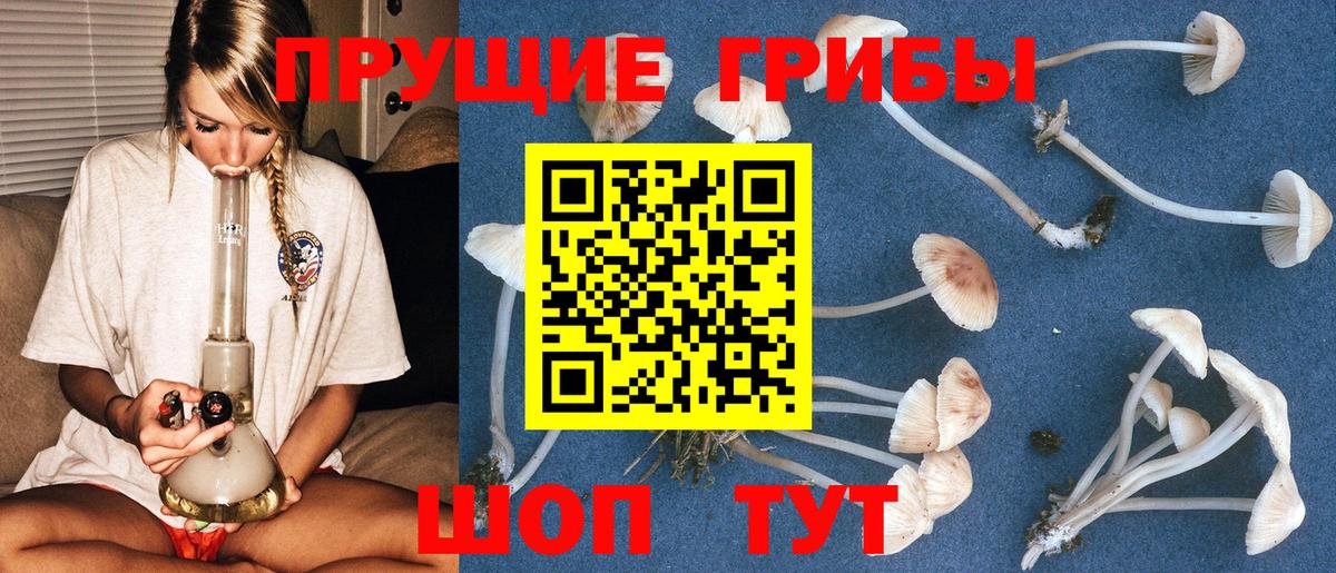 Галлюциногенные грибы Cubensis  Псилоцибиновые грибы мухоморы  Карачаевск  что такое   Вход с VPN 