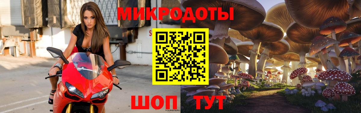 Псилоцибиновые грибы Magic Shrooms Карачаевск