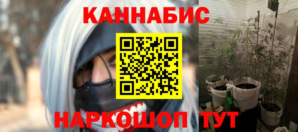 Каннабис планчик Карачаевск